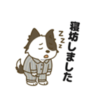 ほのぼのボーダーコリー パクチー（個別スタンプ：32）