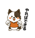 ほのぼのボーダーコリー パクチー（個別スタンプ：38）