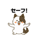 ほのぼのボーダーコリー パクチー（個別スタンプ：39）