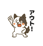 ほのぼのボーダーコリー パクチー（個別スタンプ：40）