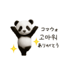 ちびもふパンダと♡韓国語でおしゃべり（個別スタンプ：3）