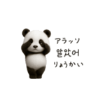 ちびもふパンダと♡韓国語でおしゃべり（個別スタンプ：5）