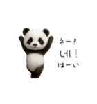 ちびもふパンダと♡韓国語でおしゃべり（個別スタンプ：7）
