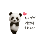 ちびもふパンダと♡韓国語でおしゃべり（個別スタンプ：8）