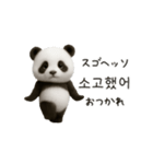 ちびもふパンダと♡韓国語でおしゃべり（個別スタンプ：9）