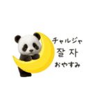 ちびもふパンダと♡韓国語でおしゃべり（個別スタンプ：10）