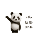 ちびもふパンダと♡韓国語でおしゃべり（個別スタンプ：11）