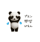 ちびもふパンダと♡韓国語でおしゃべり（個別スタンプ：12）