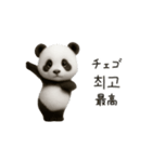 ちびもふパンダと♡韓国語でおしゃべり（個別スタンプ：13）
