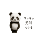 ちびもふパンダと♡韓国語でおしゃべり（個別スタンプ：16）