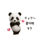 ちびもふパンダと♡韓国語でおしゃべり（個別スタンプ：19）