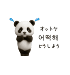 ちびもふパンダと♡韓国語でおしゃべり（個別スタンプ：23）