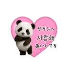 ちびもふパンダと♡韓国語でおしゃべり（個別スタンプ：24）