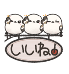 我らシマエナガ三兄弟！吊り下げ看板版（個別スタンプ：24）