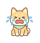 フクって本当に柴犬なの？（個別スタンプ：19）