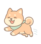 フクって本当に柴犬なの？（個別スタンプ：27）