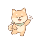 フクって本当に柴犬なの？（個別スタンプ：28）