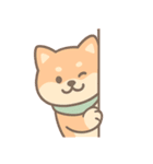 フクって本当に柴犬なの？（個別スタンプ：30）