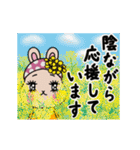 動く！かわいく見守るうさぎのうららちゃん（個別スタンプ：4）