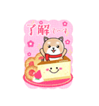 BIGかわいい♥柴犬日和の年末年始お正月 16（個別スタンプ：1）