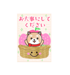 BIGかわいい♥柴犬日和の年末年始お正月 16（個別スタンプ：4）