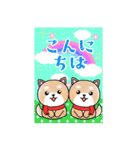 BIGかわいい♥柴犬日和の年末年始お正月 16（個別スタンプ：6）