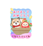 BIGかわいい♥柴犬日和の年末年始お正月 16（個別スタンプ：8）