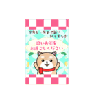 BIGかわいい♥柴犬日和の年末年始お正月 16（個別スタンプ：16）