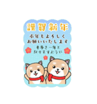 BIGかわいい♥柴犬日和の年末年始お正月 16（個別スタンプ：17）
