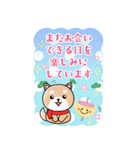BIGかわいい♥柴犬日和の年末年始お正月 16（個別スタンプ：19）