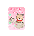 BIGかわいい♥柴犬日和の年末年始お正月 16（個別スタンプ：22）