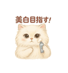 美意識高めなペルシャ猫スタンプ（個別スタンプ：11）