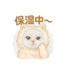 美意識高めなペルシャ猫スタンプ（個別スタンプ：14）