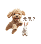癒しのコンビ★うさぎ＆トイプードル（個別スタンプ：5）