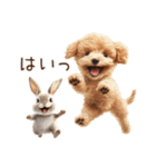 癒しのコンビ★うさぎ＆トイプードル（個別スタンプ：9）