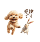 癒しのコンビ★うさぎ＆トイプードル（個別スタンプ：13）