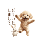 癒しのコンビ★うさぎ＆トイプードル（個別スタンプ：14）