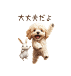 癒しのコンビ★うさぎ＆トイプードル（個別スタンプ：15）