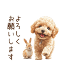 癒しのコンビ★うさぎ＆トイプードル（個別スタンプ：19）