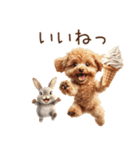 癒しのコンビ★うさぎ＆トイプードル（個別スタンプ：20）