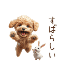 癒しのコンビ★うさぎ＆トイプードル（個別スタンプ：22）