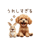 癒しのコンビ★うさぎ＆トイプードル（個別スタンプ：24）