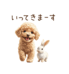 癒しのコンビ★うさぎ＆トイプードル（個別スタンプ：26）