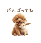 癒しのコンビ★うさぎ＆トイプードル（個別スタンプ：27）