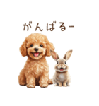 癒しのコンビ★うさぎ＆トイプードル（個別スタンプ：28）