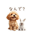 癒しのコンビ★うさぎ＆トイプードル（個別スタンプ：30）