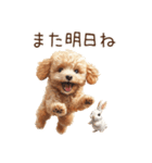 癒しのコンビ★うさぎ＆トイプードル（個別スタンプ：39）