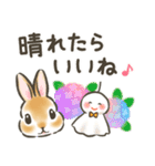 毎日（初夏）☆うさぎのスタンプ（個別スタンプ：5）