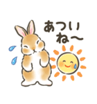 毎日（初夏）☆うさぎのスタンプ（個別スタンプ：8）
