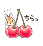 毎日（初夏）☆うさぎのスタンプ（個別スタンプ：11）